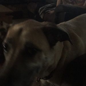 Meet your Posher, Dia